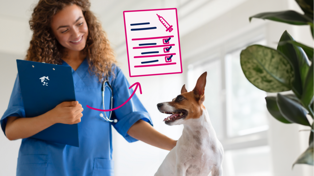 5 in 1 Vaccine For Puppies Schedule Complete Guide BetterVet - 5-In-1 Vaccine For Puppies Schedule