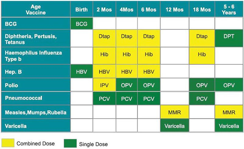 7 Things To Know About Vaccinations In The UAE Parenting child health  - Bc Vaccination Schedule