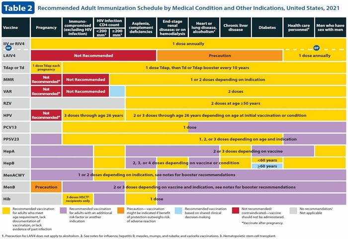 9 Key Changes The 2021 Adult Immunization Schedules - Ipol Vaccine Schedule Adults