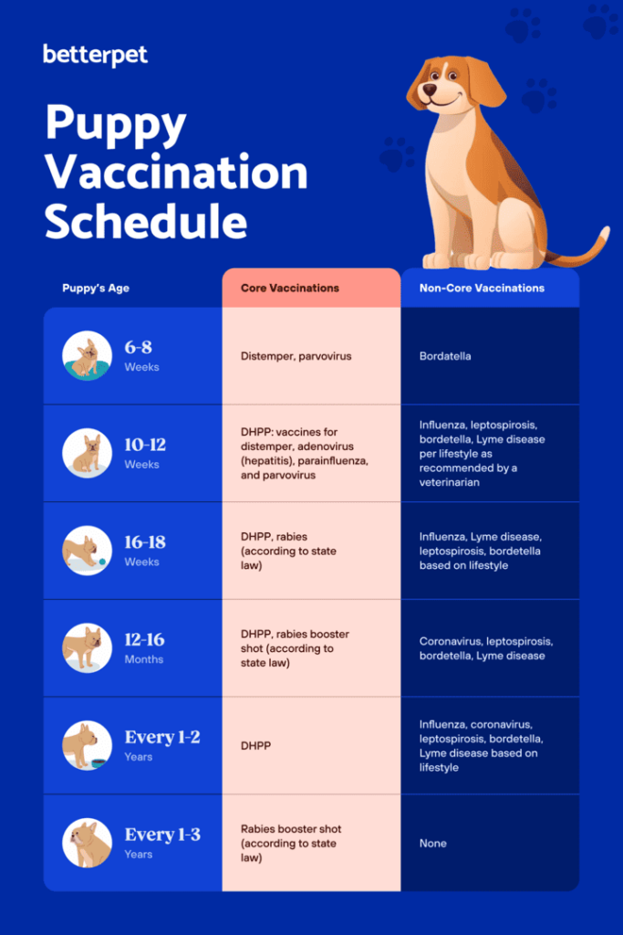 A Puppy Vaccine Schedule What Does My Puppy Need  - Pug Puppy Vaccination Schedule