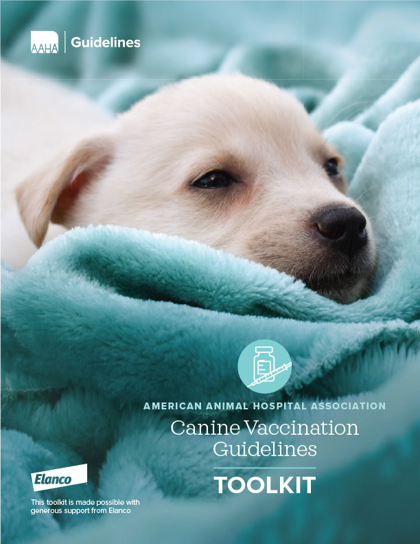 AAHA Canine Vaccination Guidelines Toolkit AAHA - Aaha Vaccine Schedule