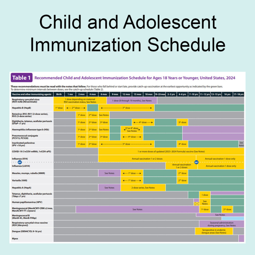 Adult Immunization Schedule Healthcare Providers CDC - Ct Vaccine Schedule By Age