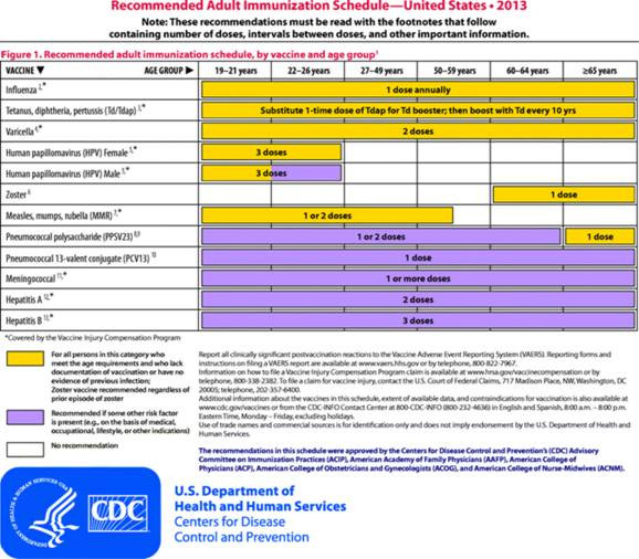 Adult Immunization Schedule Updated As Vaccination Rates Lag Harvard  - 2024 Vaccine Schedule Vs 2024