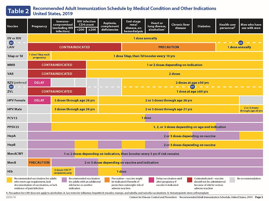 Adult Immunization Schedule - Kaiser Permanente Vaccination Schedule