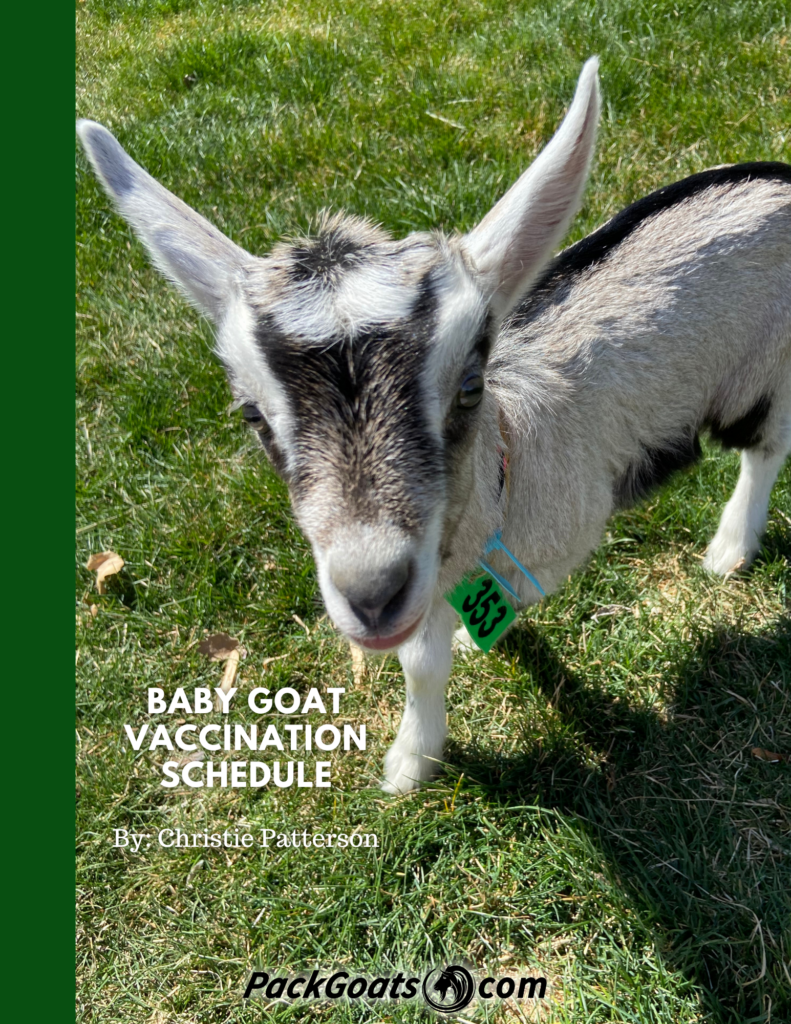 Baby Goat Vaccination Schedule Guide Packgoats - Printable Goat Vaccination Schedule Chart