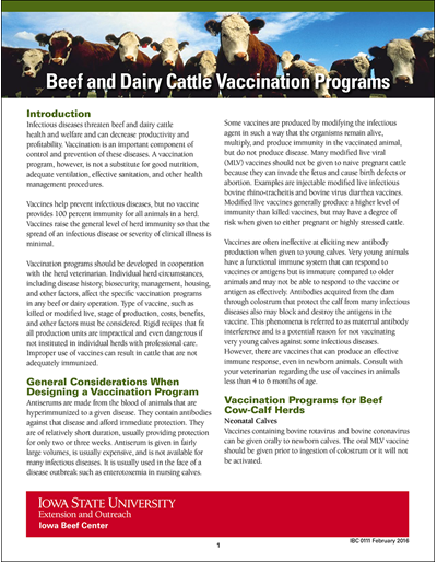 Beef And Dairy Cattle Vaccination Programs - Vaccination Schedule For Cattle Pdf