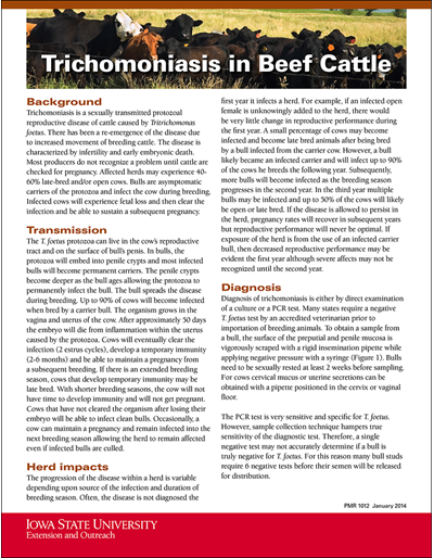 Beef And Dairy Cattle Vaccination Programs - Beef Calf Vaccination Schedule