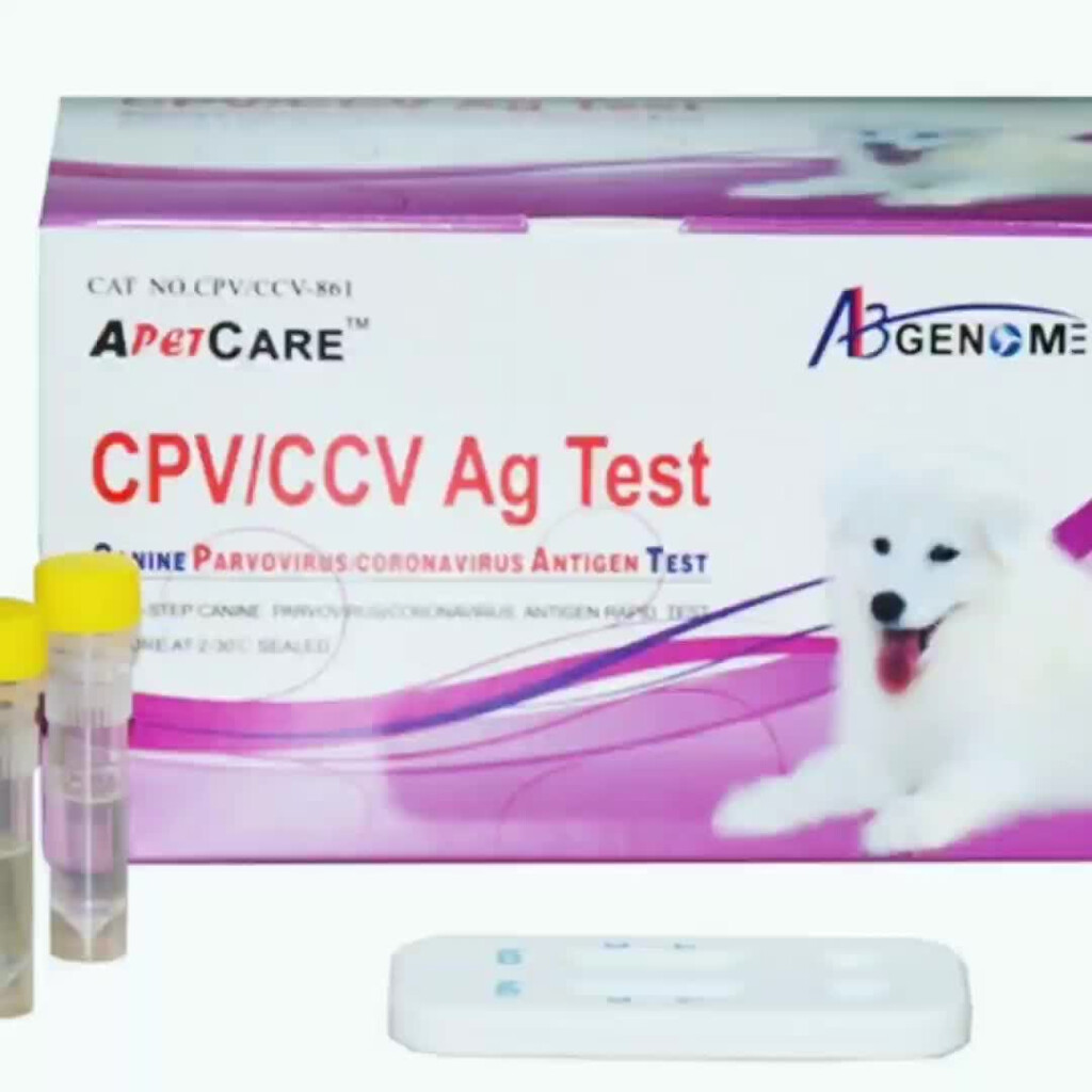 Canine Combo Ccv Ag cpvag Rapid Test Cassette Combined Ccv cpv Test  - Cdv-Cav2-Cpiv-Cpv Vaccine Schedule