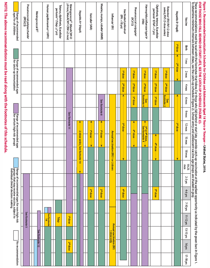 Childhood Immunization Catch Up Schedule Ages 4 Months To 18 Years - 4 Month Vaccines Schedule