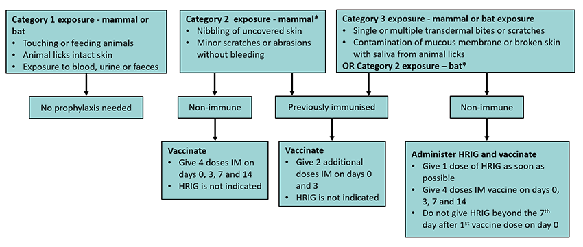 Clinical Practice Guidelines Rabies And Australian Bat Lyssavirus  - Rabies Vaccination Schedule Post Exposure