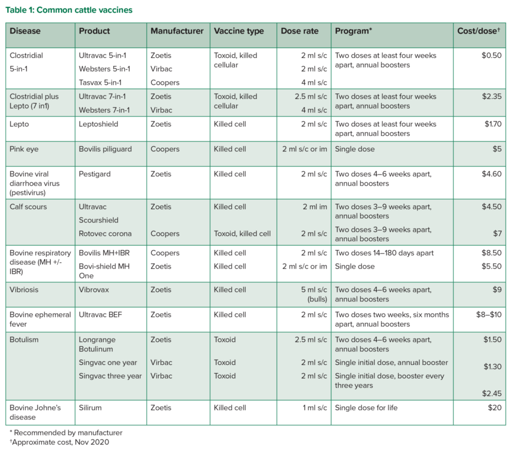 Common Beef Cattle Vaccines The Toolbox MLA ELearning - Poultry Vaccination Schedule