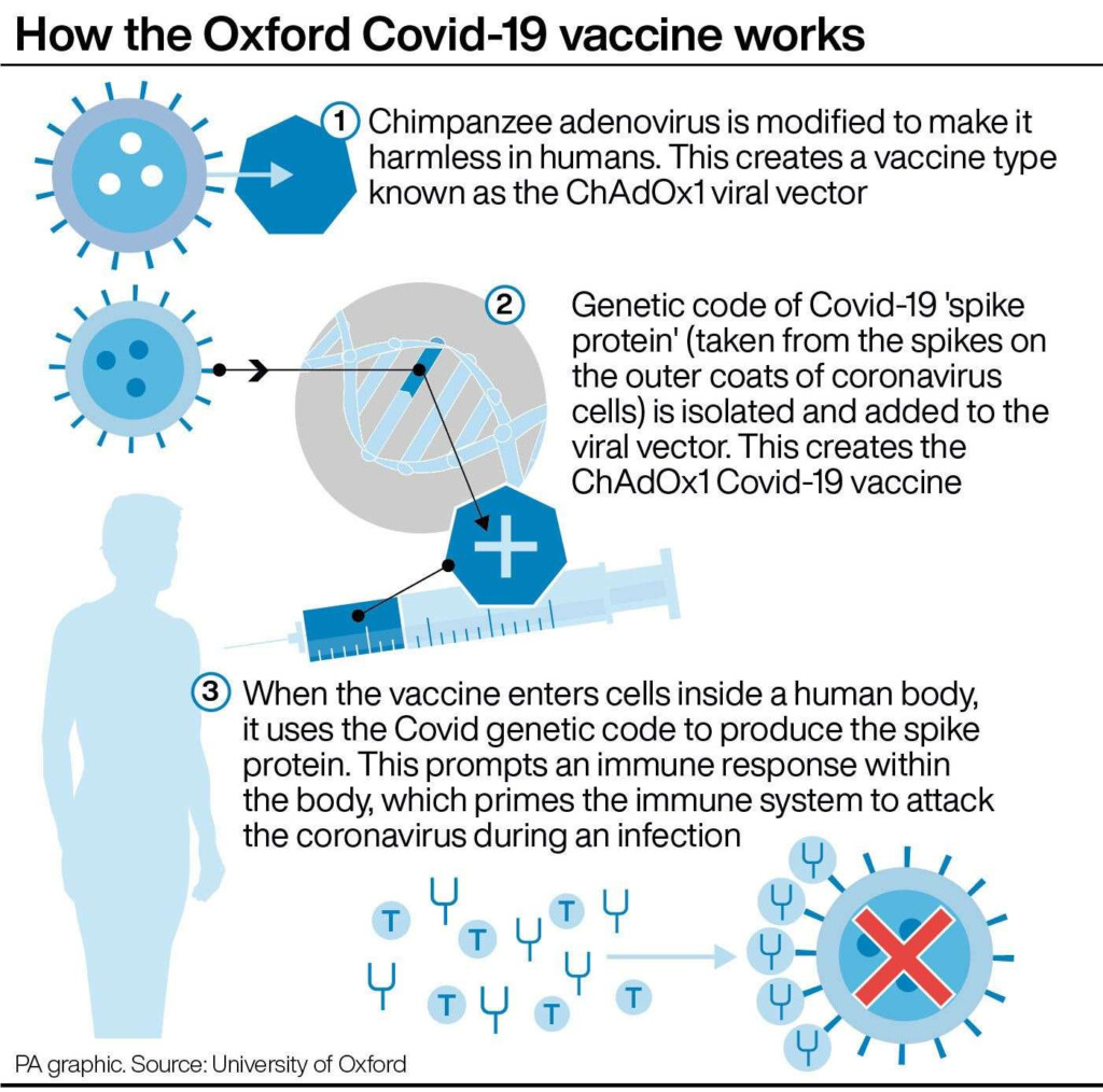 Covid 19 Vaccines Discussing How They Work The Second Dose And Timing  - Astrazeneca Vaccine Schedule