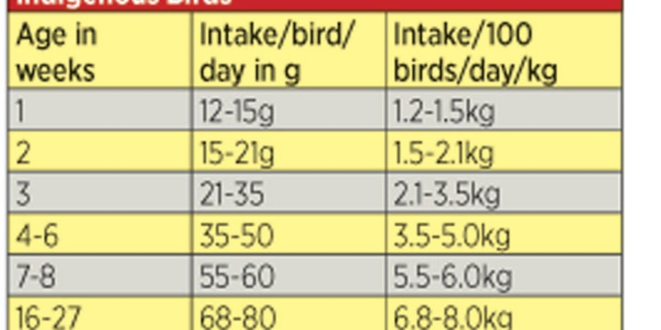 Diary Of A Poultry Farmer Feeding Regime For Chicks Important Nation - Chicken Vaccination Schedule In Kenya