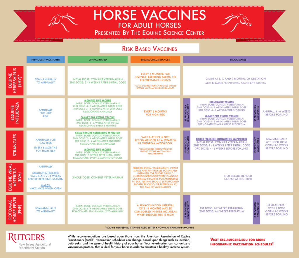 Does Your Horse Have A Fever Equine Science Center - Horse Flu Vaccine Schedule