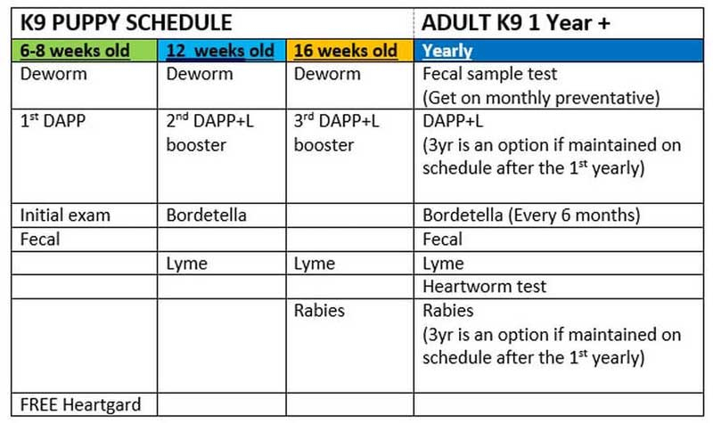 Dog Cat Vaccine Schedules - Vaccination Schedule For Dogs And Cats