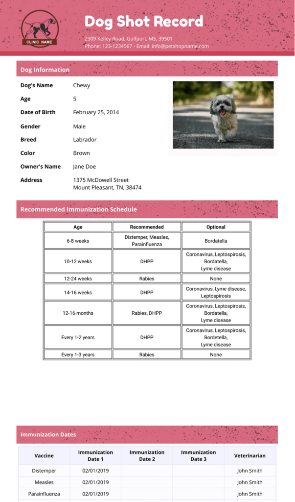 Dog Shot Record Template PDF Templates Jotform - Older Dog Vaccination Schedule