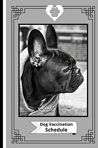 Dog Vaccination Schedule Keep Your French Bulldog s Immunization  - French Bulldog Vaccination Schedule