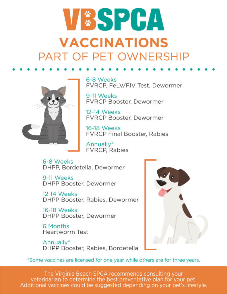 Dog Vaccination Schedule Pet Health Record Dog Vaccination Record  - Nys Dog Vaccination Schedule