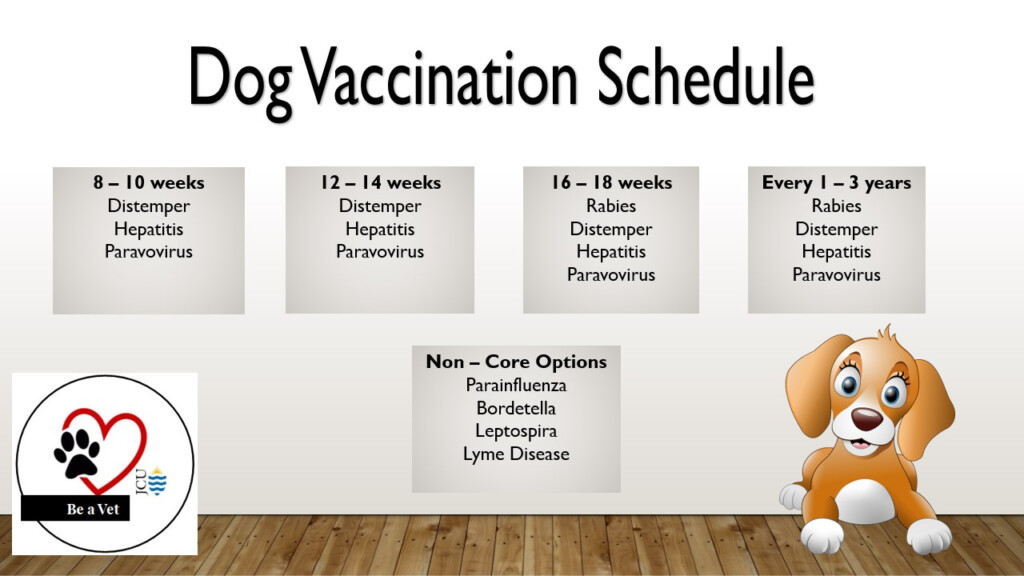 Dog Vaccination Schedule Pet Health Record Dog Vaccination Record  - Labrador Retriever Puppy Vaccination Schedule