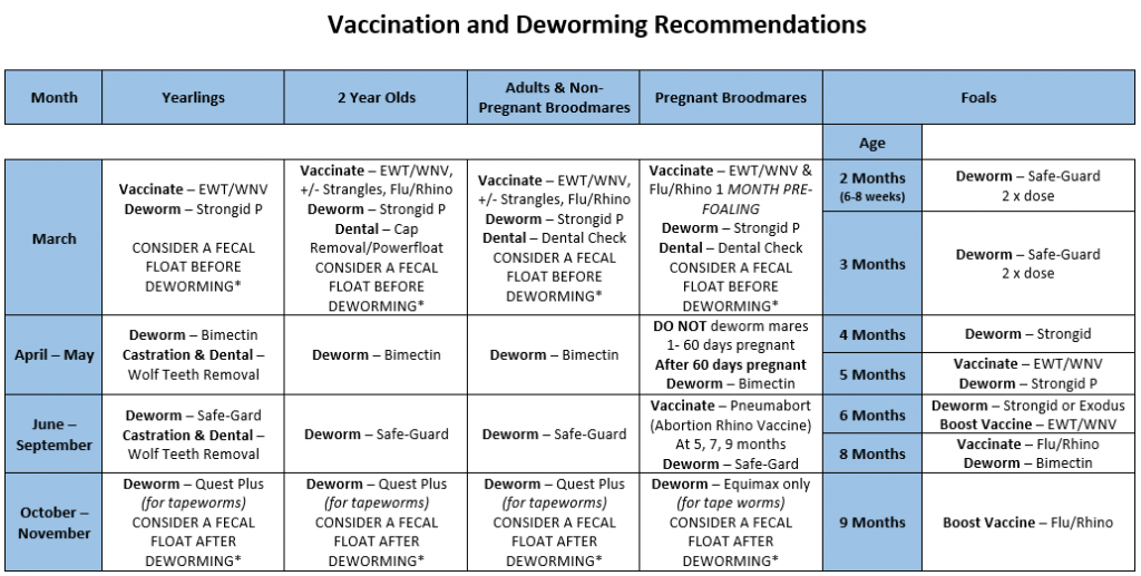 Equine Vaccination Schedule - Livestock Vaccination Schedule