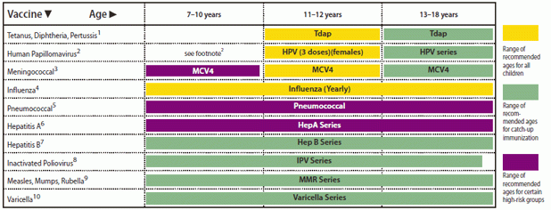 Errata Vol 60 No 5 - Mmr Vaccine Series Schedule