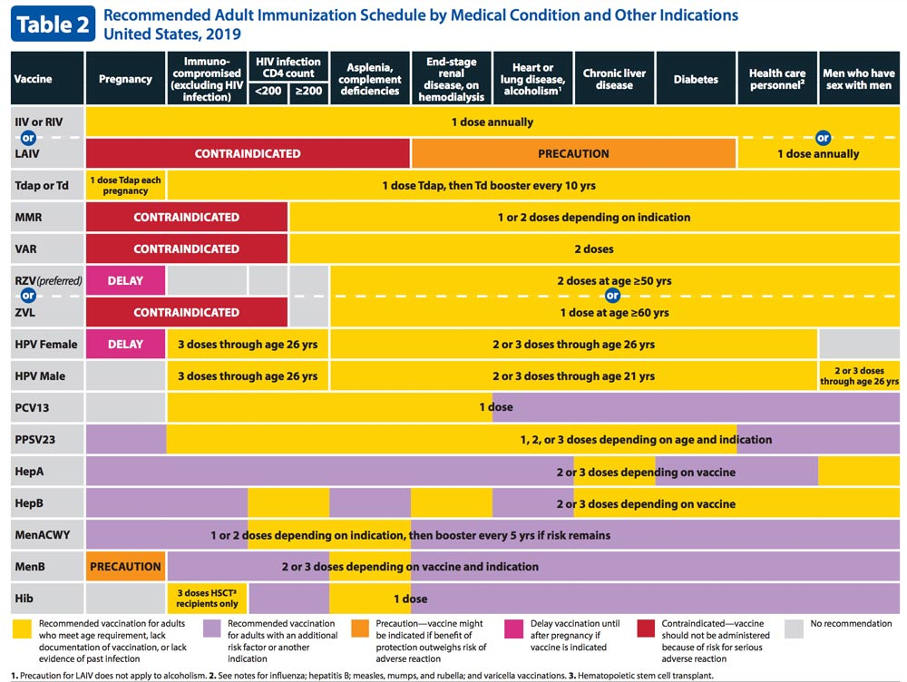 Figure Recommended Immunization Schedule For Adults And Adolescents  - 2 B Dr Hib Vaccine Schedule