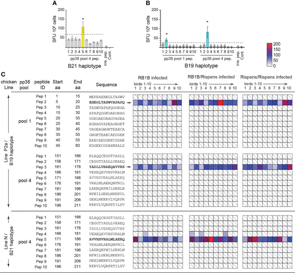 Frontiers Marek s Disease Virus specific T Cells Proliferate Express  - Marek'S Disease Vaccination Schedule