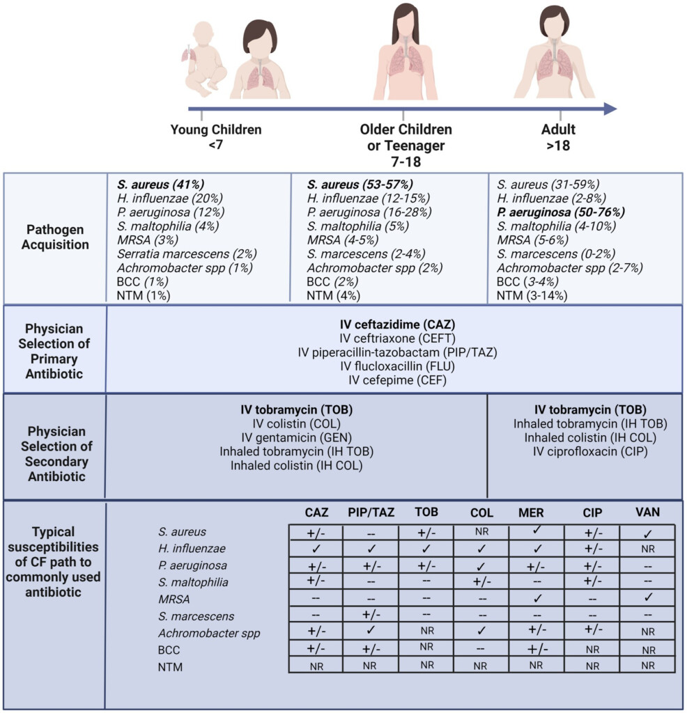 Frontiers Pulmonary Bacteriophage And Cystic Fibrosis Airway Mucus  - Cystic Fibrosis Vaccination Schedule