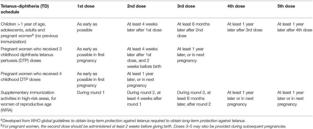 Frontiers Routine Vaccination During COVID 19 A Case Of Maternal  - Td Schedule Vaccine