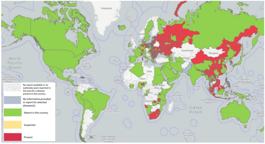 Frontiers Vaccines For African Swine Fever An Update - Swine Fever Vaccine Schedule