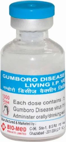 Gumboro Disease Vaccine Live I P At Best Price In Ghaziabad - Gumboro Vaccine Schedule