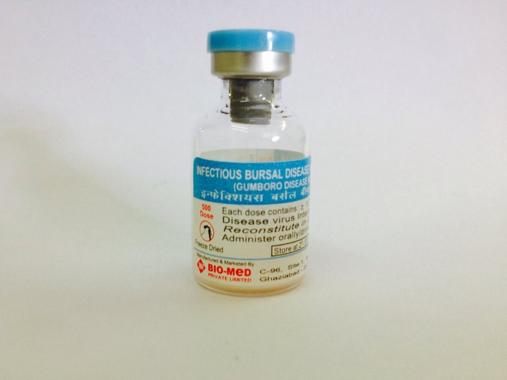 Gumboro Inactivated Vaccine At Best Price In Ghaziabad By Bio Med  - Gumboro Vaccine Schedule