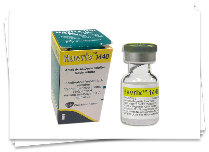 Havrix 1440 Inactivated Hepatitis A Vaccine GSK Glaxo Prescription At  - Havrix 1440 Vaccine Schedule