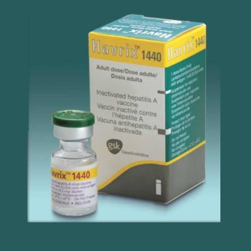 Havrix 1440 Iu Injection Freeze Dried Live Attenuated Hepatitis A  - Havrix 1440 Vaccine Schedule