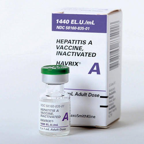 Havrix 1440 Iu Injection Freeze Dried Live Attenuated Hepatitis A  - Havrix 1440 Vaccine Schedule