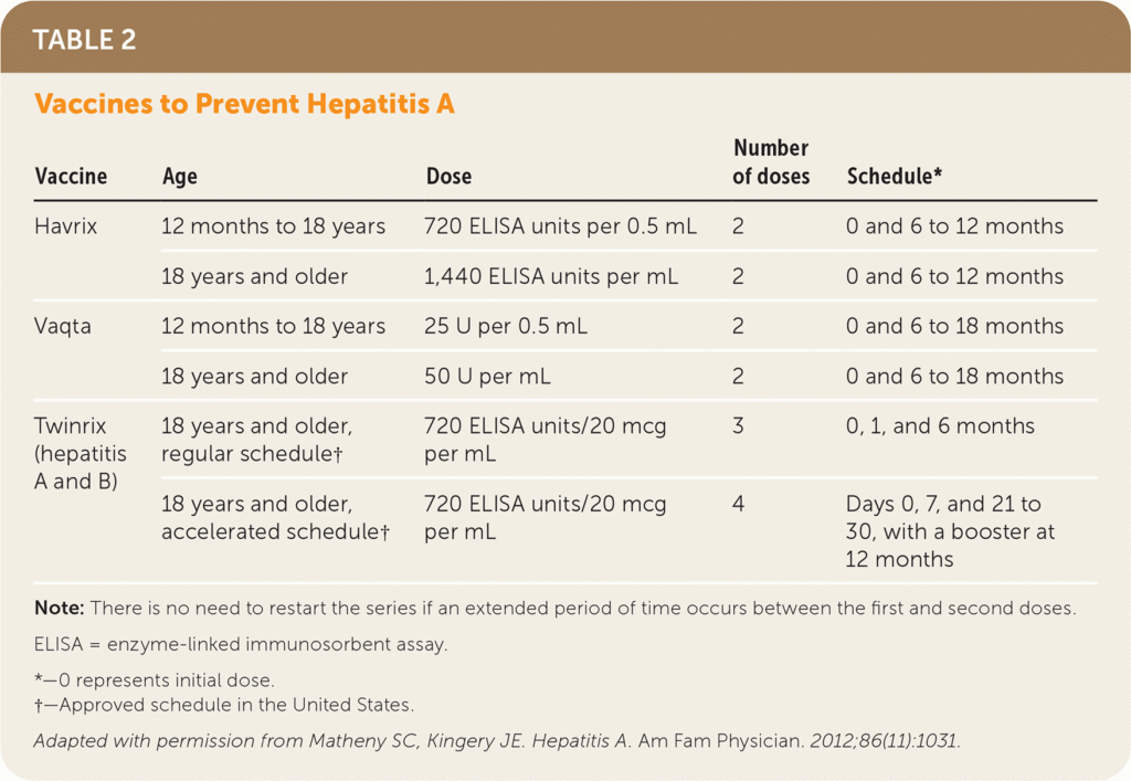 Hepatitis A AAFP - Hepatitis A Vaccine For Adults Schedule