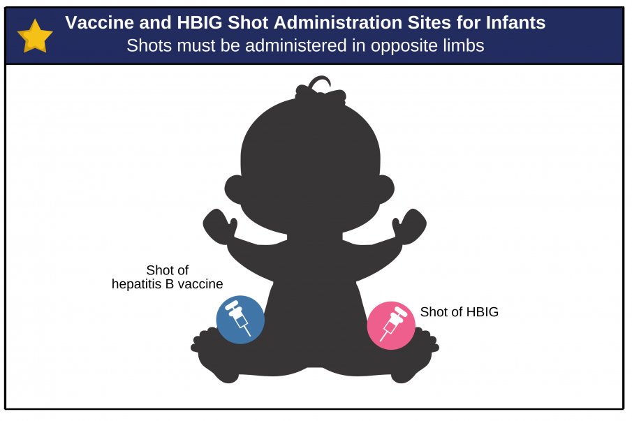 Hepatitis B Foundation Hepatitis B Vaccine Schedules - Accelerated Hep B Vaccine Schedule