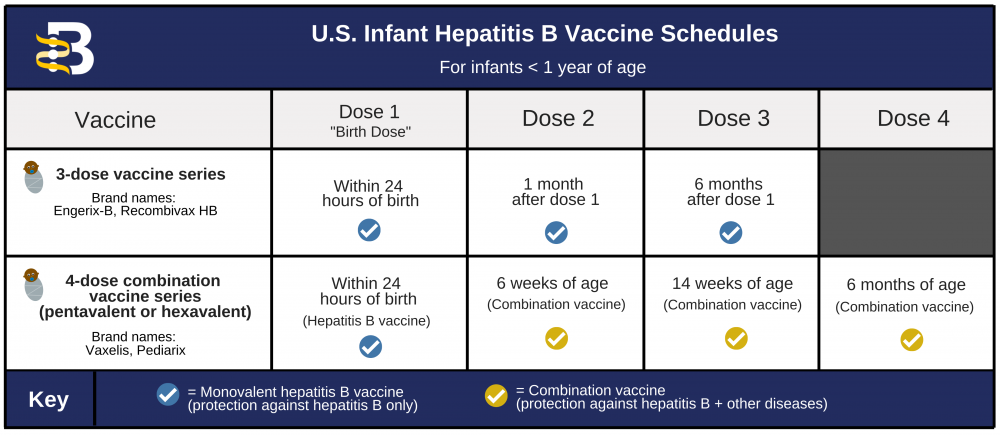 Hepatitis B Foundation Hepatitis B Vaccine Schedules - Infant Hep B Vaccine Schedule