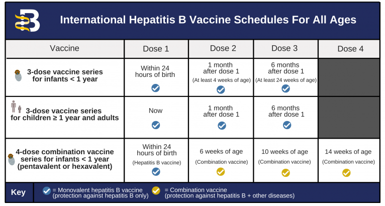 Hepatitis B Foundation Hepatitis B Vaccine Schedules - Hep B Vaccine Schedule For Adults Engerix