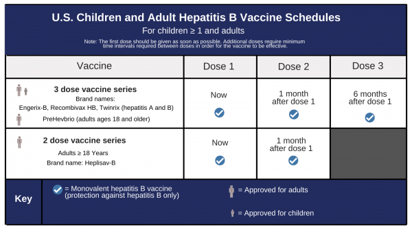 Hepatitis B Foundation Hepatitis B Vaccine Schedules - Heb Vaccination Scheduler