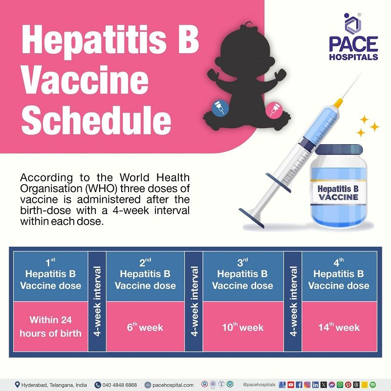 Hepatitis B Vaccine Centre In Hyderabad Schedule Appointment - Hepatitis B Vaccine Schedule Booster Dose