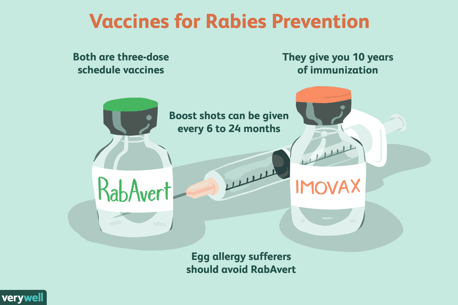 How Rabies Is Treated - Rabies Vaccine Administration Schedule