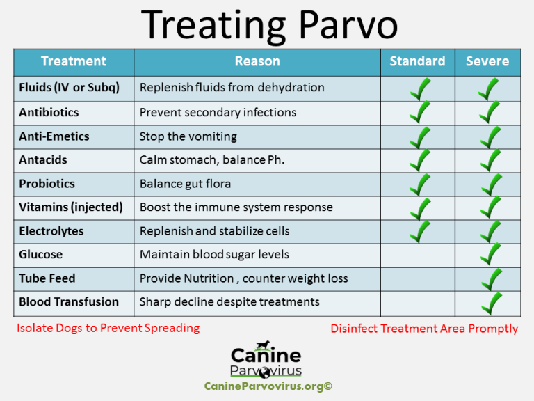 How To Treat Parvo How Medical Professionals Treat Parvo Chart  - Parvo Vaccine Schedule For Puppies