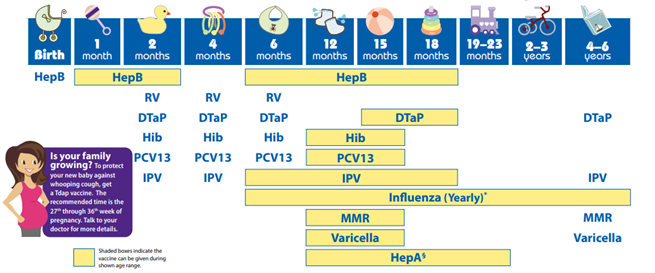 Immunizations For Infants And Young Children - Baby Vaccine Schedule California