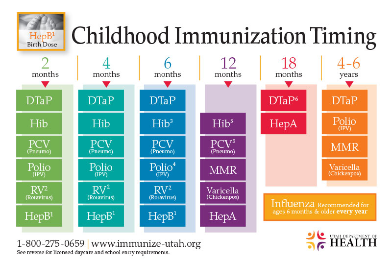 Immunizations well child checks Department Of Health And Human Services - Vaccine Schedule New York State