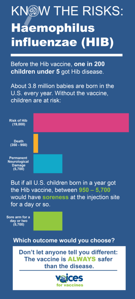 Information About Haemophilus Influenzae Voices For Vaccines - B Dr Hib Vaccine Schedule