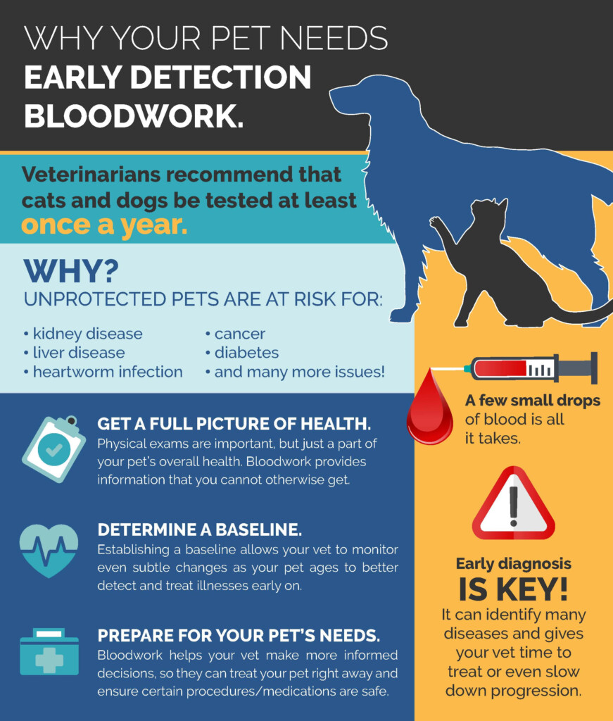 Leptospirosis Vaccination Recommendation For Dogs - Leptospirosis Vaccination Schedule