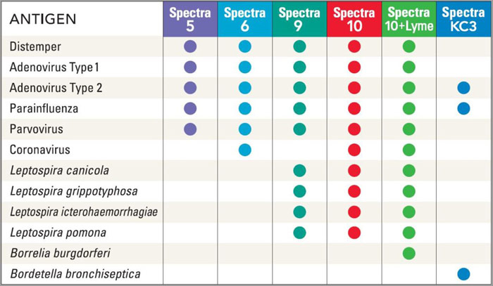 Livestock Feline Canine Vaccines Sunset Feed Supply Miami - Spectra Canine Vaccine Schedule