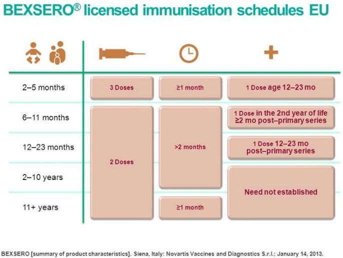 Meningococcal Immunisation Glebe Hill Family Practice - Meningococcal Vaccine B Schedule