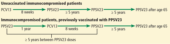 Navigating Pneumococcal Vaccination In Adults Cleveland Clinic  - Pcv23 Vaccine Schedule